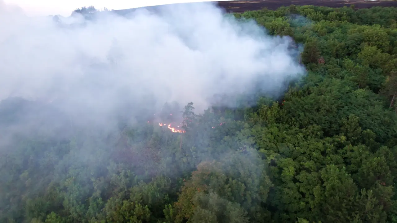 Aerial footage of a wildfire burning across a mountainside in summer, with smoke rising along the slope.