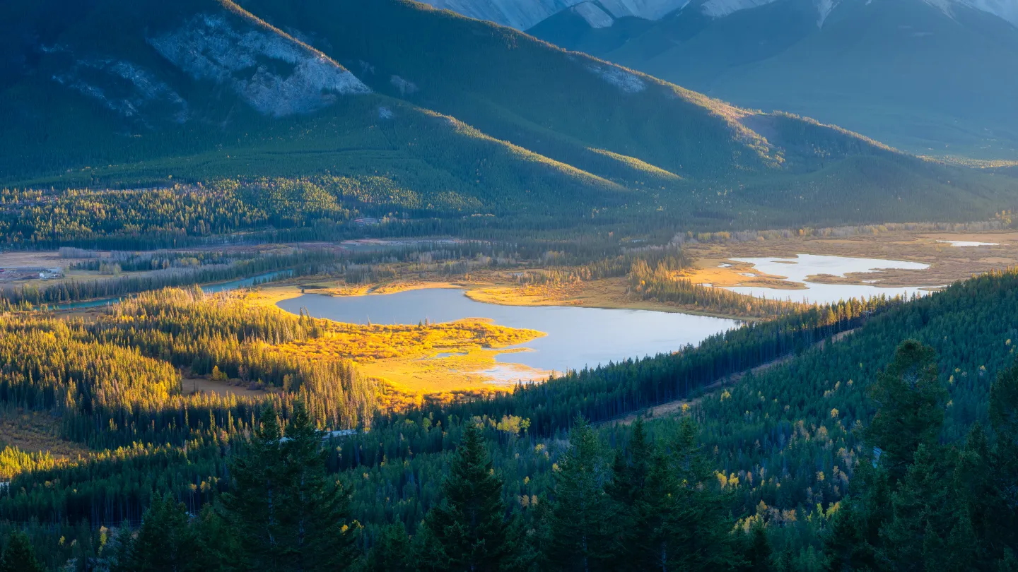 Sunbeams reaching into a forested mountain valley at dawn through low mist.