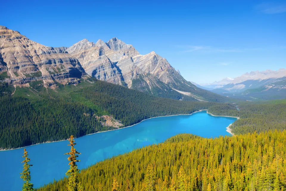 The bright turquoise water of Peyto Lake below forested slopes in Banff National Park, Alberta.