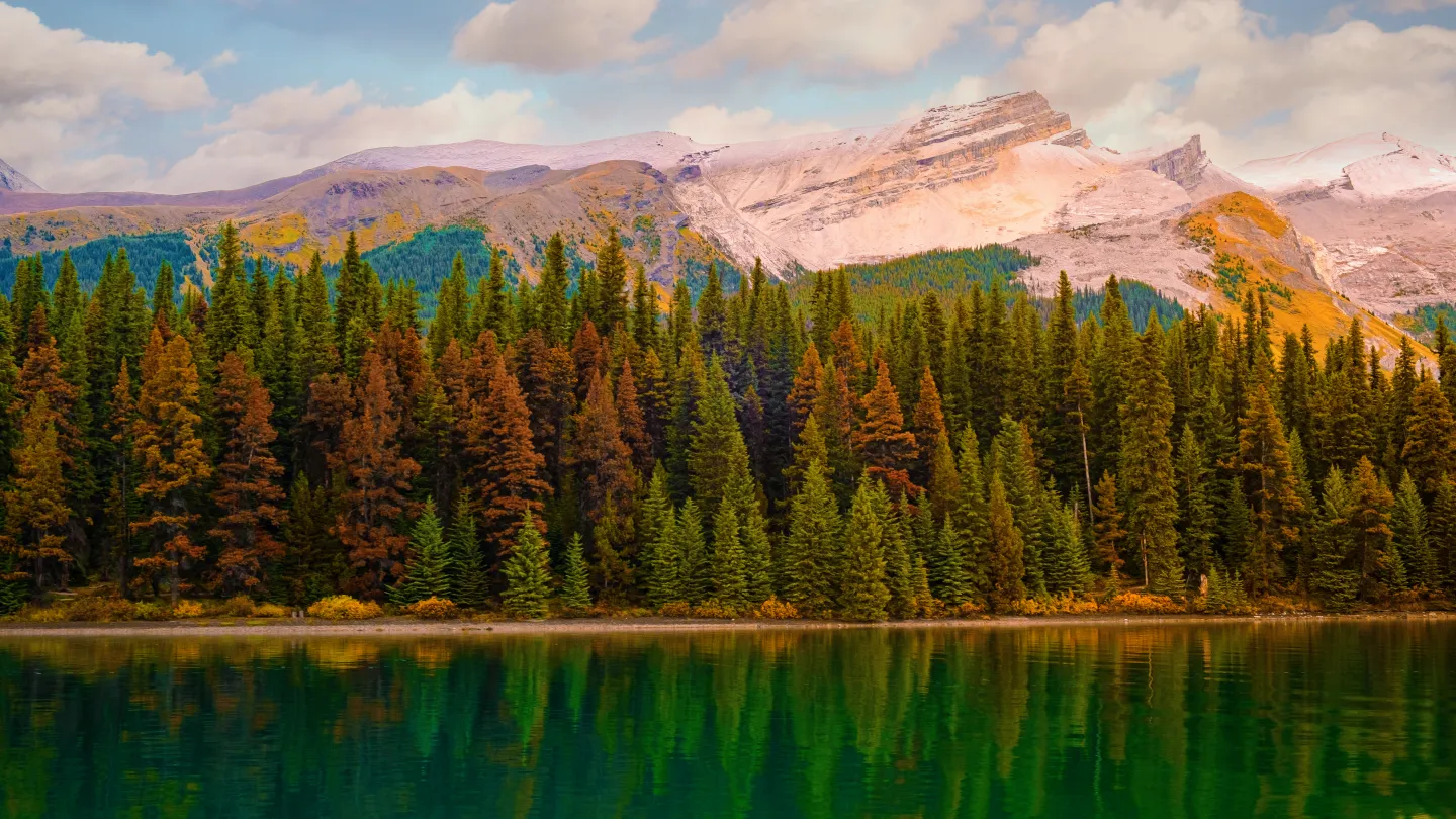 Spirit Island in Maligne Lake, Jasper National Park, a small stand of conifers ringed by mountains.